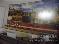 无纺布壁画052