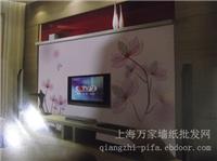 无纺布壁画057