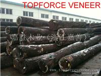 江苏南京美国黑胡桃原木 JiangSu NanJing American Walnut Veneer Log / Saw Log-嘉胜木业 TOPFORCE VENEER