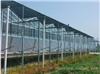 文洛式玻璃温室-上海苑茸温室设备有限公司专业制作文洛式玻璃温室