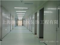 供应嘉定厂房装修厂房吊顶隔墙办公室装修铝扣板吊顶