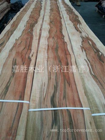 南美印第安苹果木 Tineo 原木 木皮 板材