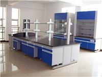 上海实验室设备/木质实验室家具供应/上海实验室家具供应