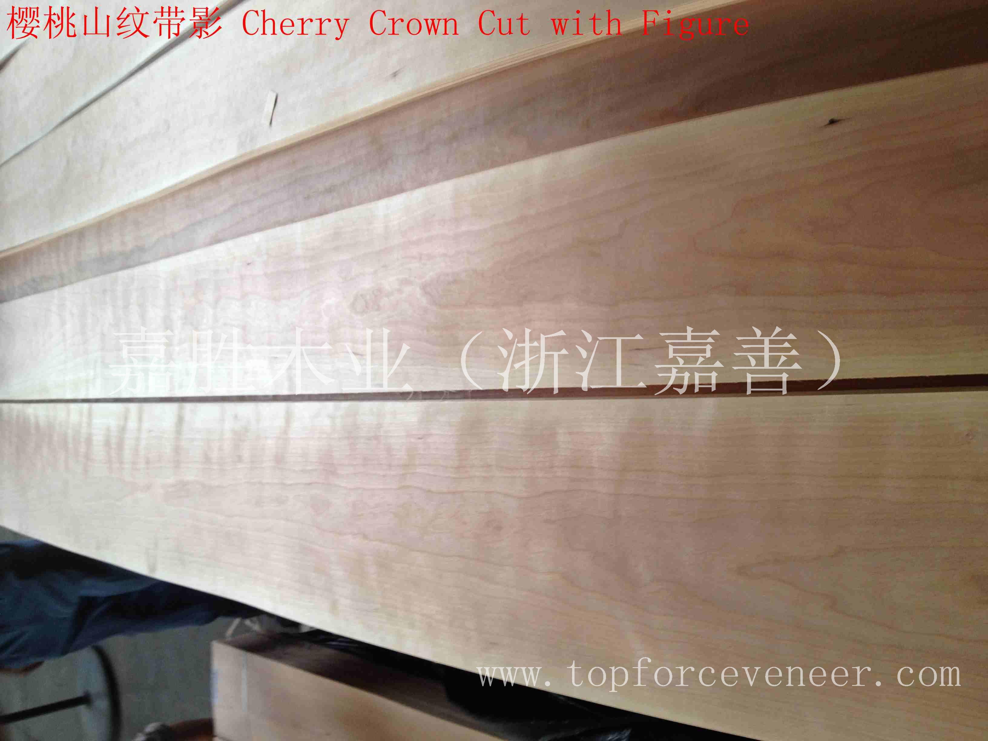 上海美国樱桃原木天然木皮平皮薄皮家具皮门料-ShangHai American Black Cherry Veneer Logs Natural Veneee