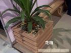 上海专业设计防腐木花箱公司电话 