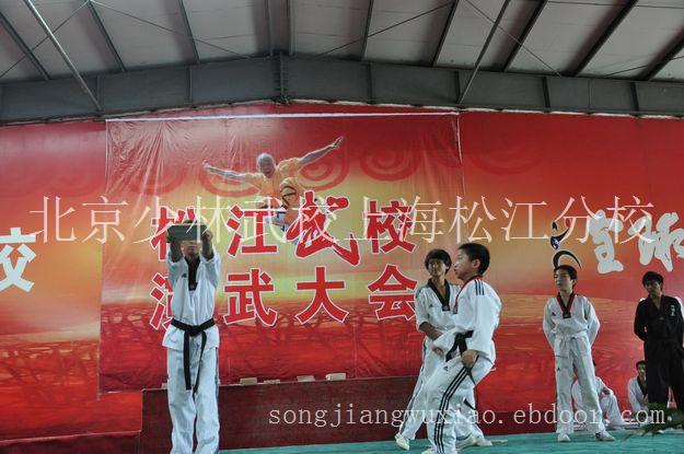 上海武术培训,武术学校