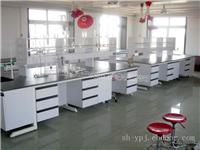 上海实验室家具供应/钢结构实验台供应