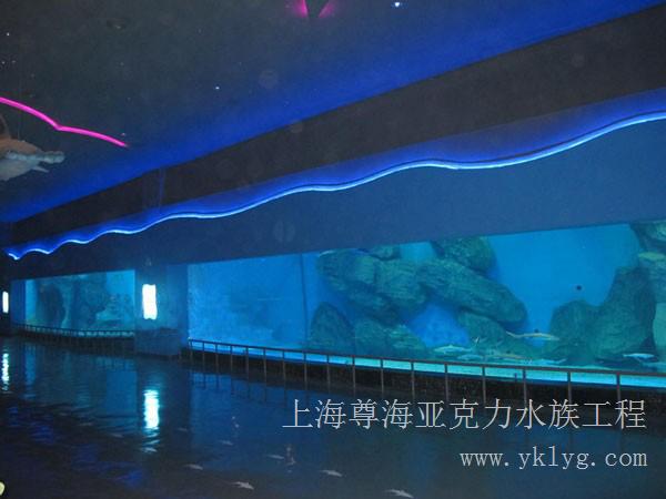 酒店海鲜池|大型酒店鱼缸工程|张经理13816652188