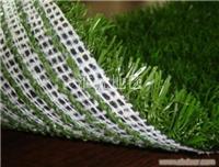 上海草坪地毯_草坪地毯价格_草坪地毯厂家