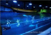 上海大型亚克力鱼缸厂-亚克力鱼缸定做