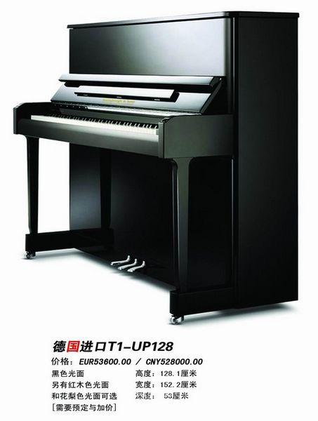 上海斯坦伯格钢琴专卖店-德国原装进口钢琴T1-UP124
