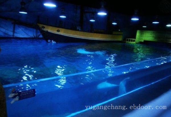 上海大型鱼缸定做价格-大型鱼缸加工厂家