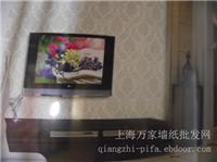 无纺布墙纸.福瑞迪011