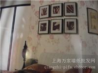 无纺布墙纸.福瑞迪017