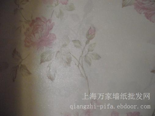 无纺布墙纸.福瑞迪017