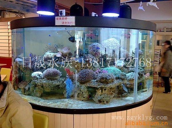 上海亚克力鱼缸销售-亚克力鱼缸市场