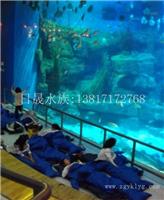 上海亚克力鱼缸款式-亚克力鱼缸厂