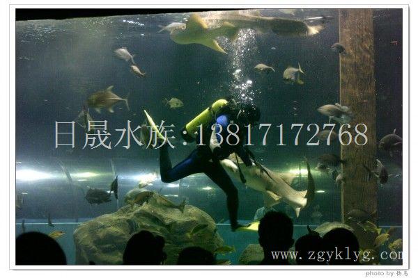 上海亚克力鱼缸款式-亚克力鱼缸厂