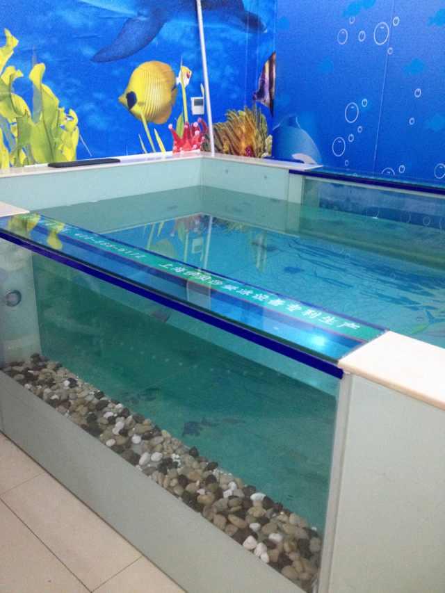上海婴儿泳池设备/婴儿泳池设备批发