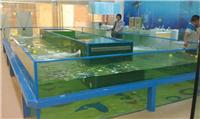 上海宝贝计划泳池设备加盟/婴儿泳池设备厂家