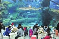 上海大型鱼缸定做-大型鱼缸设计制作