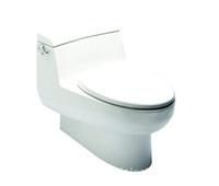 IDS自然风格加长型连体座厕400mm/上海美标卫浴
