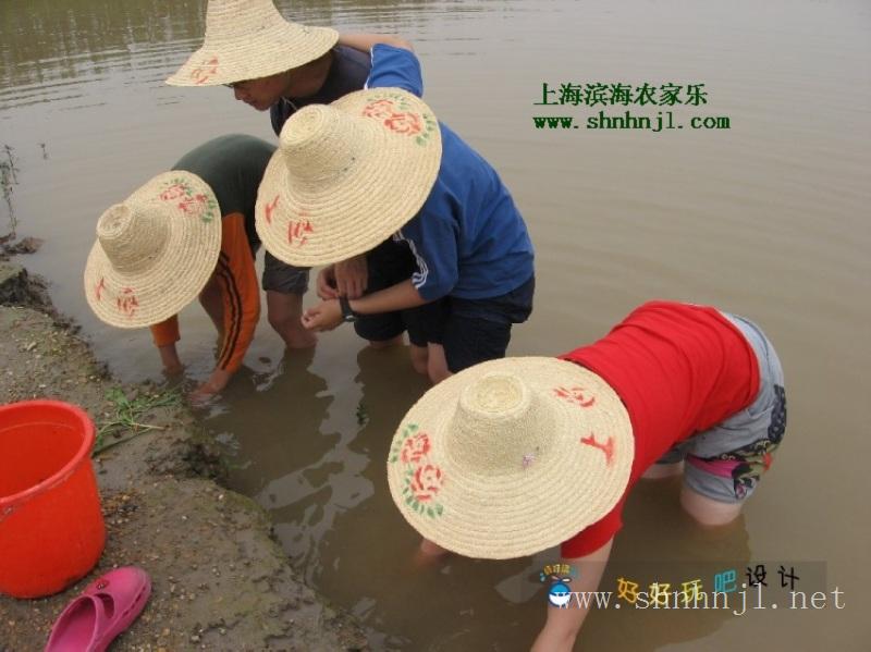 中秋节 适合全家出游的上海农家乐