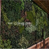 上海整墙仿真植物墙设计