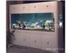 亚克力鱼缸设计-上海亚克力鱼缸造景