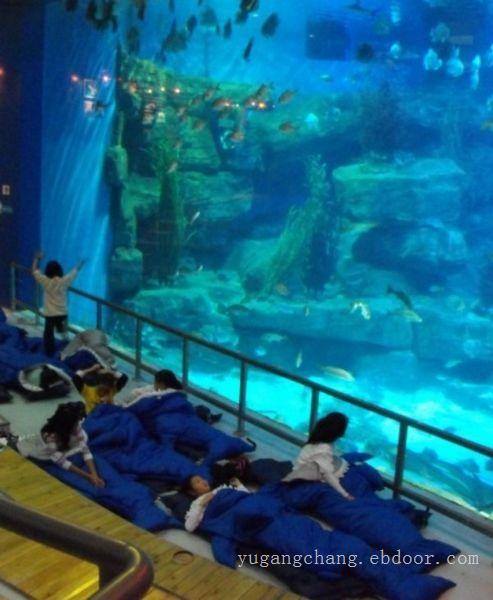 上海大型亚克力鱼缸-专业大型鱼缸厂家