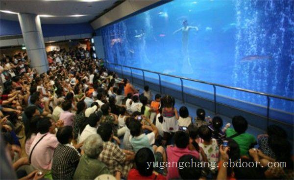 上海大型亚克力鱼缸-专业大型鱼缸厂家