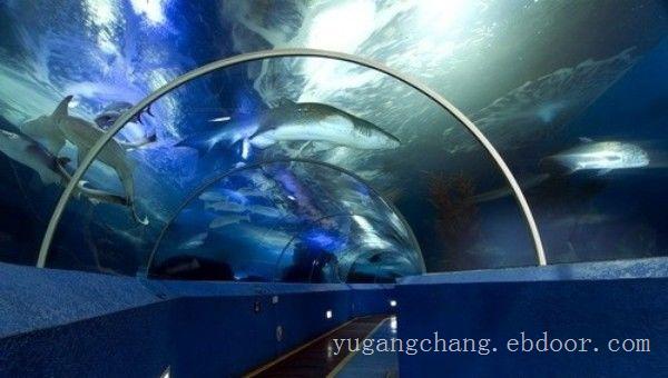 上海鱼缸制作厂家-亚克力鱼缸制作技术