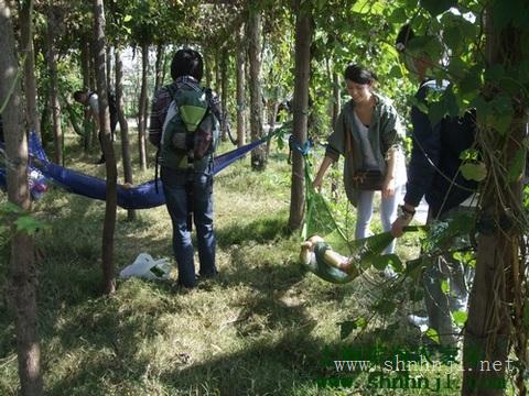 十月桔子采摘 钓大闸蟹 喂养小动物一日游