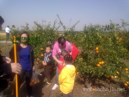 上海郊区农家乐旅游推荐农家美食 农家乐趣