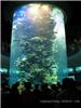 上海大型鱼缸定做-大型亚克力鱼缸定做