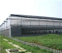 上海薄膜温室建设-薄膜温室安装
