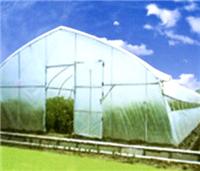 单栋塑料大棚GP-622 上海薄膜温室大棚生产