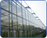 玻璃温室大棚_上海玻璃温室大棚