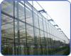 玻璃温室大棚_上海玻璃温室大棚