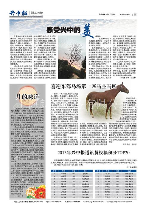 报纸高品质设计印刷