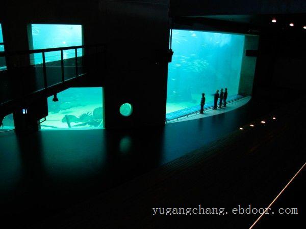 上海大型亚克力鱼缸-亚克力鱼缸生态鱼缸定做