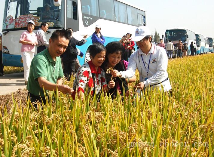 上海公司注册哪里好，崇明经济园区公司注册