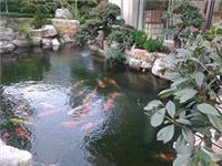 上海御锦园锦鲤鱼池设计