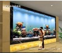 上海亚克力板|上海水族馆工程