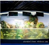 上海水族馆|上海水族馆工程|上海海洋馆工程