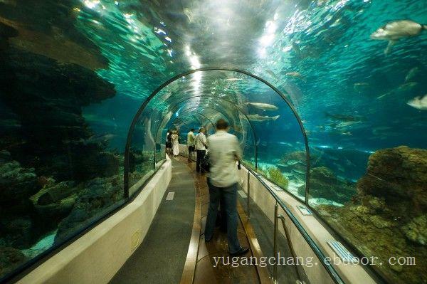 上海大型亚克力鱼缸厂-亚克力鱼缸厂