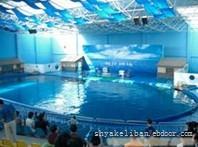 上海海洋馆|上海海洋水族馆工程供应