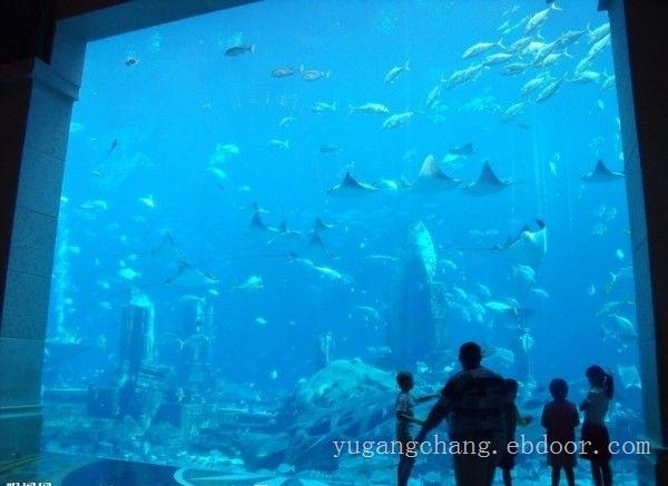 大型鱼缸定做-上海海洋馆大型鱼缸定做