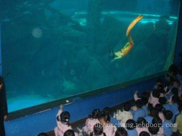 上海亚克力鱼缸厂家-亚克力鱼缸养鱼技巧