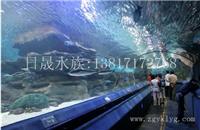 上海亚克力鱼缸厂-2014年亚克力鱼缸摆放技巧